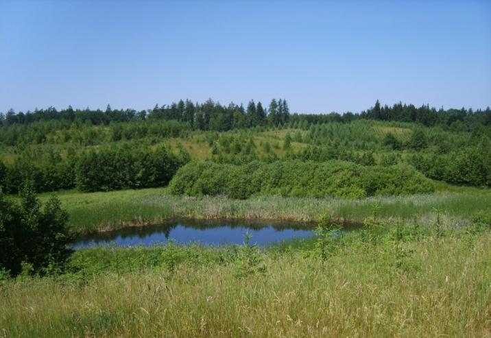 Zalesienia&#x20;gruntów&#x20;porolnych&#x20;w&#x20;Nadleśnictwie&#x20;Ełk