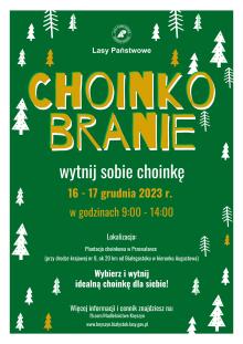 Choinkobranie, czyli wybierz i wytnij swoją wymarzoną choinkę