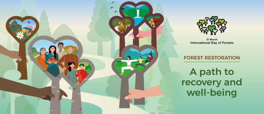 Plakat obchodów Międzynarodowego Dnia Lasów 2021