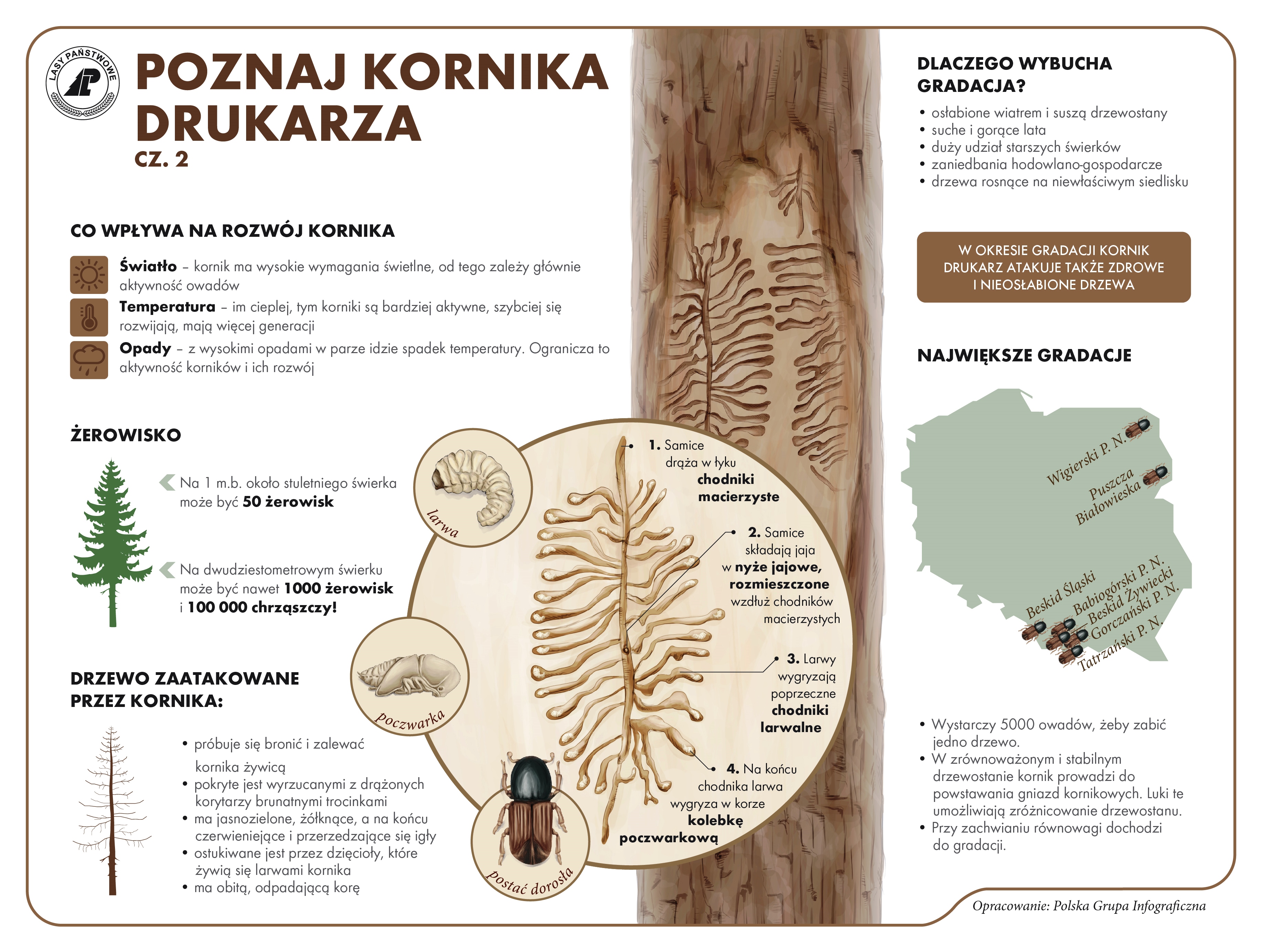 Karta informacyjna poznaj kornicza drukarza cz. 2. Karta informacyjna poznaj kornicza drukarza cz. 2.