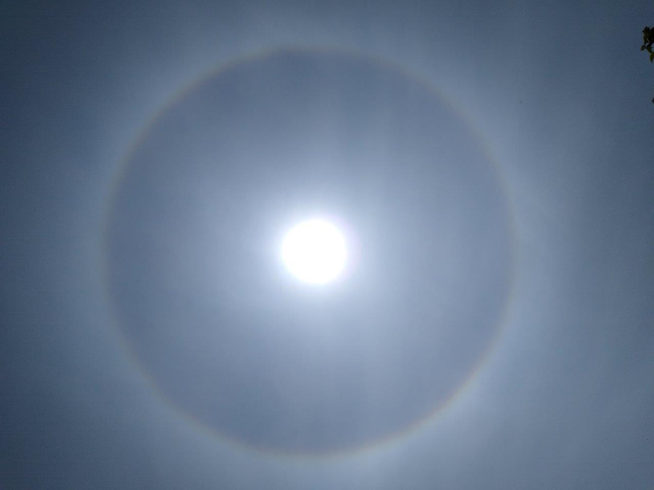 Efekt halo