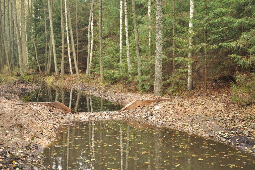 Próg zwalniający wybudowany w ramach projektu, fot. Marek Taradejna