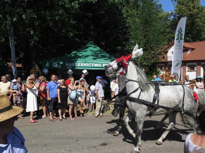 fot&#x2e;&#x20;Błażej&#x20;Safaryn