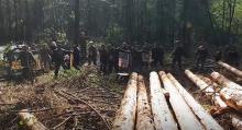 Straż lesna została zmuszona do interwencji [wideo]