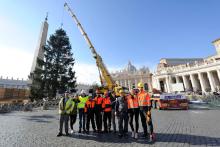 Choinka z polskich lasów dotarła do Watykanu!