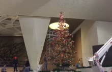 Choinka z N.Maskulińskie w Auli Pawła VI