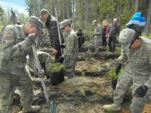 Żołnierze NATO sadzą las