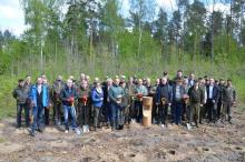 1000 drzew na minutę w Nadleśnictwie Nurzec