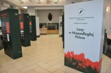 Wystawa Lasy w Niepodległej Polsce