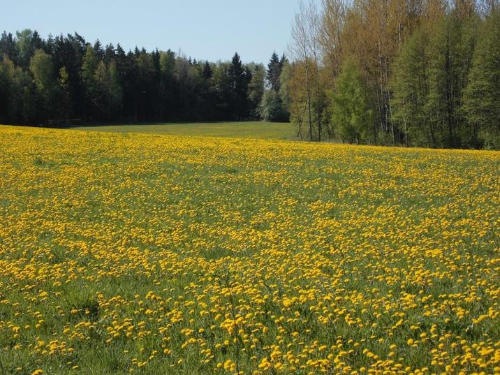 fot&#x2e;&#x20;Marcin&#x20;Pach&#x2c;&#x20;Nadleśnictwo&#x20;Ełk