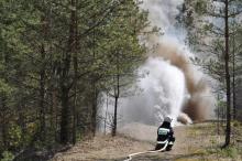 Powstaje plan zabezpieczenia przeciwpożarowego Puszczy Białowieskiej