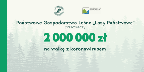 Lasy Państwowe przeznaczą dwa miliony złotych na walkę z koronawirusem