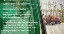 Lasy Państwowe dla branży drzewnej