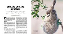 #ZostańwDomu. Przeczytaj „Echa Leśne”