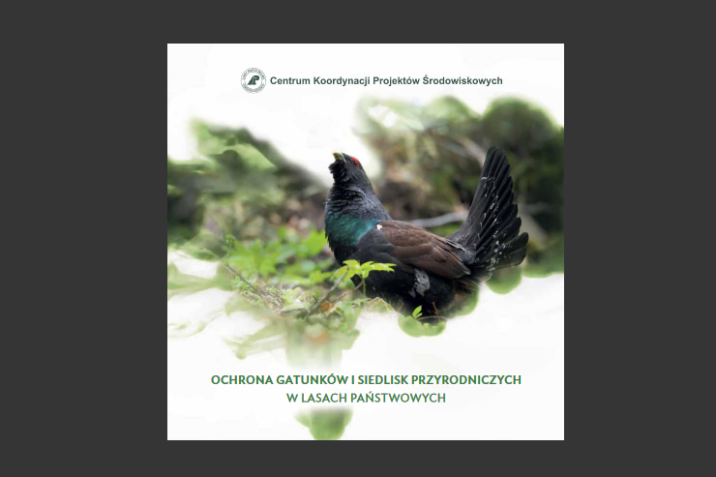 Kompleksowy&#x20;projekt&#x20;ochrony&#x20;gatunków&#x20;i&#x20;siedlisk&#x20;przyrodniczych&#x20;na&#x20;obszarach&#x20;zarządzanych&#x20;przez&#x20;PGL&#x20;Lasy&#x20;Państwowe