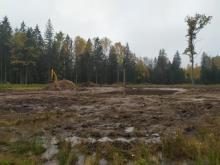 Częściowe efekty realizacji projektu „żubrowego”