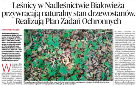 Leśnicy w Nadleśnictwie Białowieża przywracają naturalny stan drzewostanów. Realizują Plan Zadań Ochronnych
