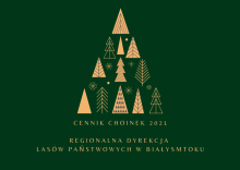 Już czas na choinkę prosto z lasu