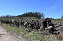 Leśnicy i służby mundurowe wspólnie posadzili las