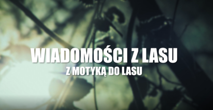 &#x22;Wiadomości&#x20;z&#x20;lasu&#x22;&#x20;Odcinek&#x20;2&#x2e;