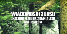 Znaczenie Planu Urządzania Lasu dla leśników