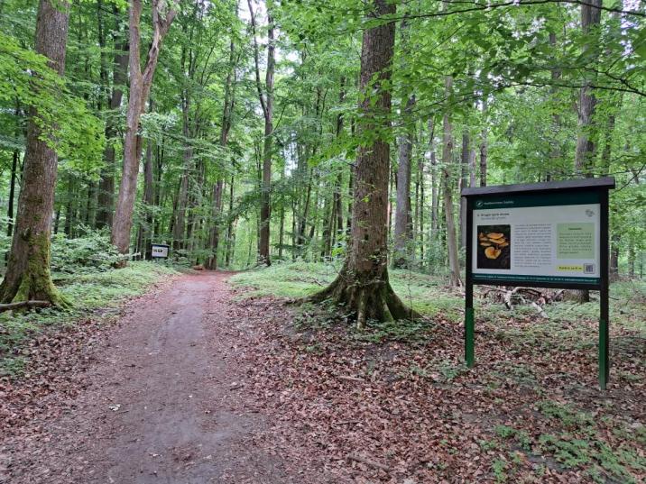 fot&#x2e;&#x20;Nadleśnictwo&#x20;Dojlidy
