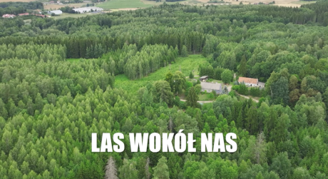 LAS WOKÓŁ NAS