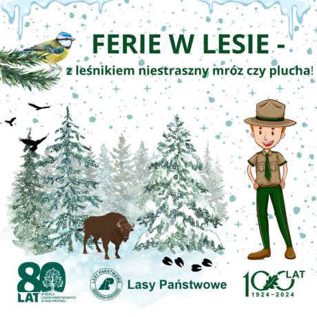 Ferie w lesie – z leśnikiem niestraszny mróz czy plucha!