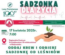 Sadzonka dla życia