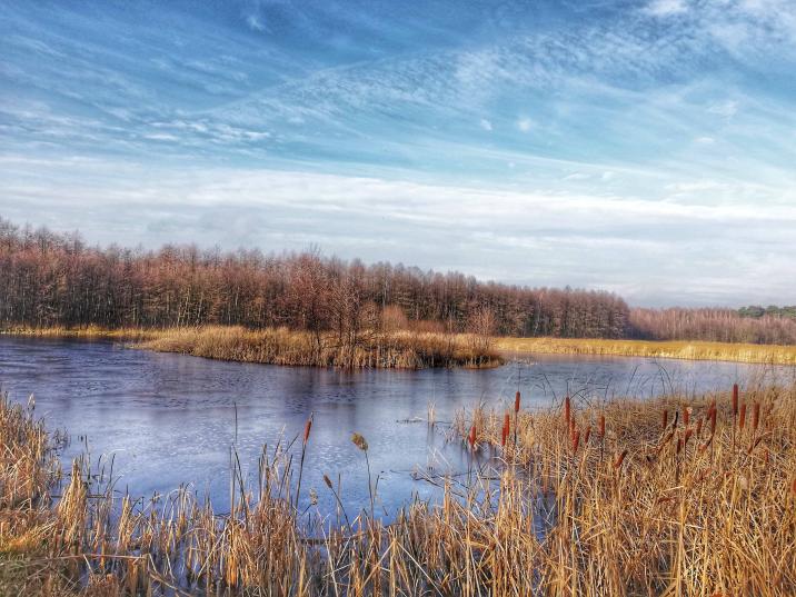 Zbiornik retencyjny na terenie RDLP Łódź