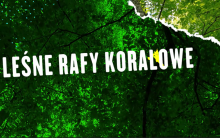 Leśne rafy koralowe