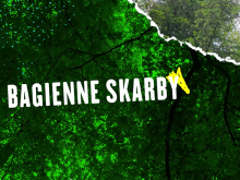 Bagienne skarby