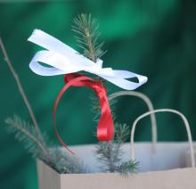 Oddali krew dla Niepodległej – otrzymali dar lasu