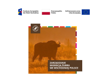 ZARZĄDZANIE MIGRACJĄ ŻUBRA WE WSCHODNIEJ POLSCE
