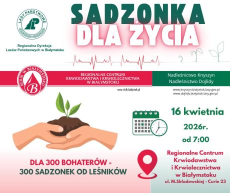 Sadzonka dla życia