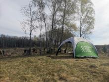 My dla lasu, las dla wszystkich – historia która rośnie